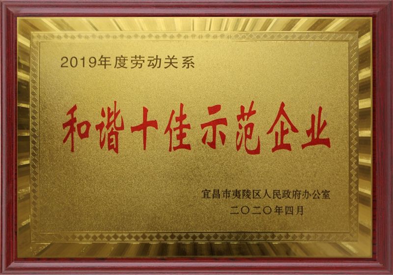 2020年和谐十佳企业