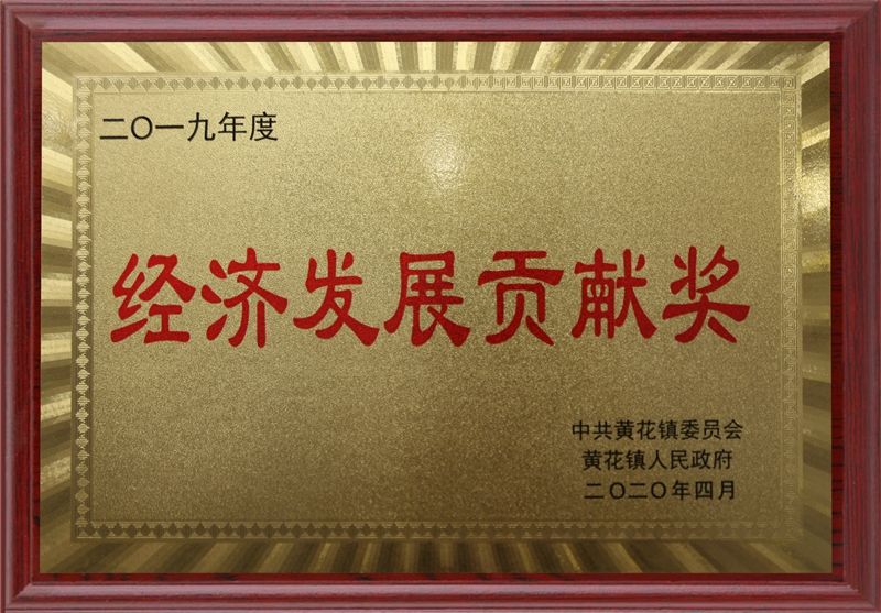 2020经济发展贡献奖