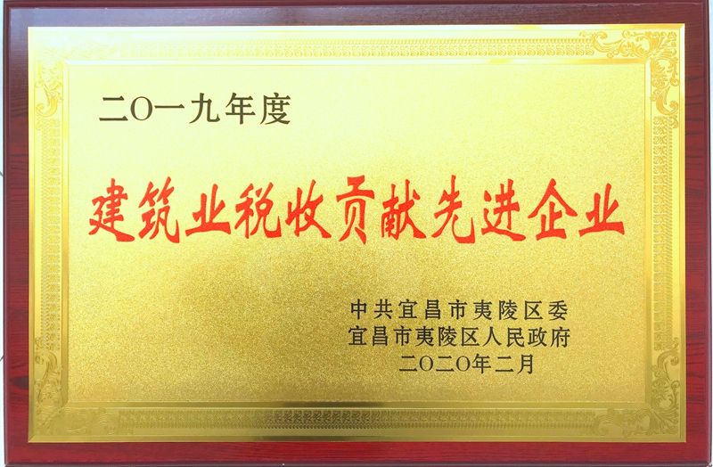 2020年税收贡献先进企业