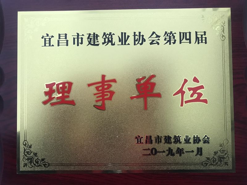 2019年理事单位