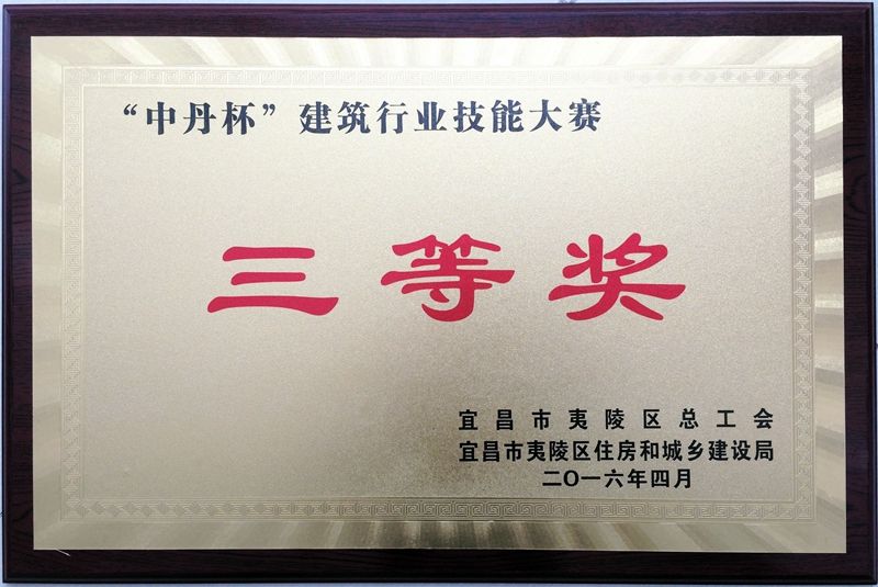 2016技能大赛三等奖