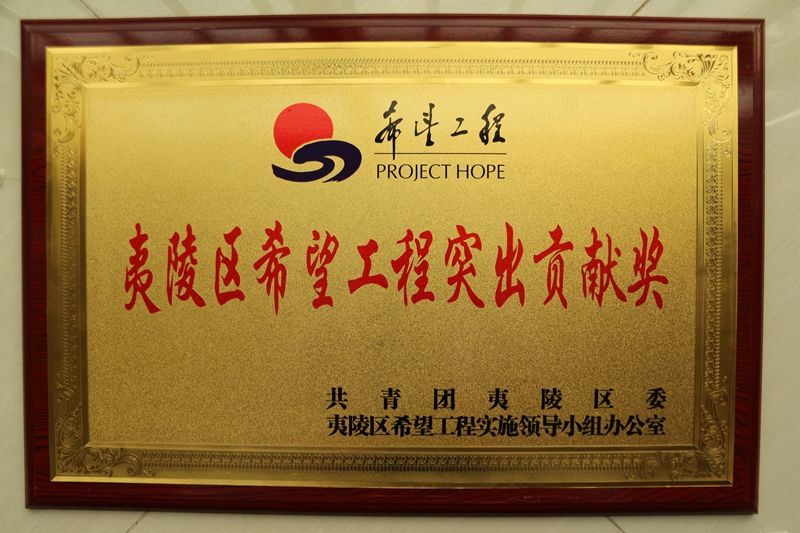 2015年夷陵区希望工程突出贡献奖