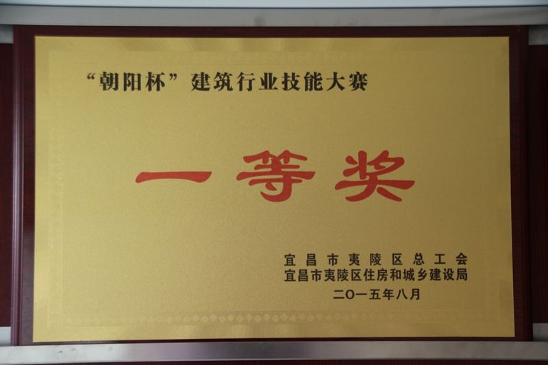 2015年朝阳杯技能竞赛一等奖