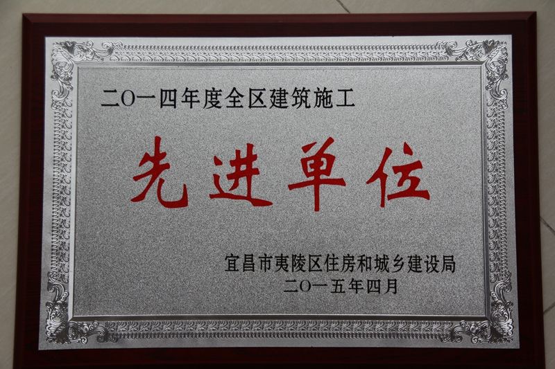 2015年全区建筑施工先进单位