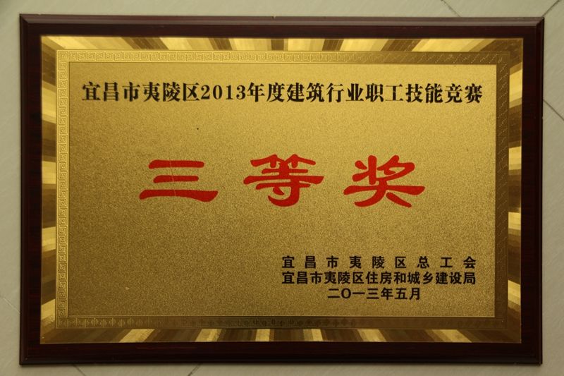 2013年竟能竞赛三等奖