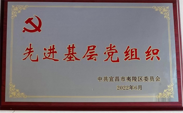 2022年先进基层党组织