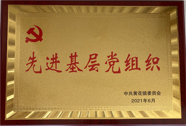 2021年先进党组织